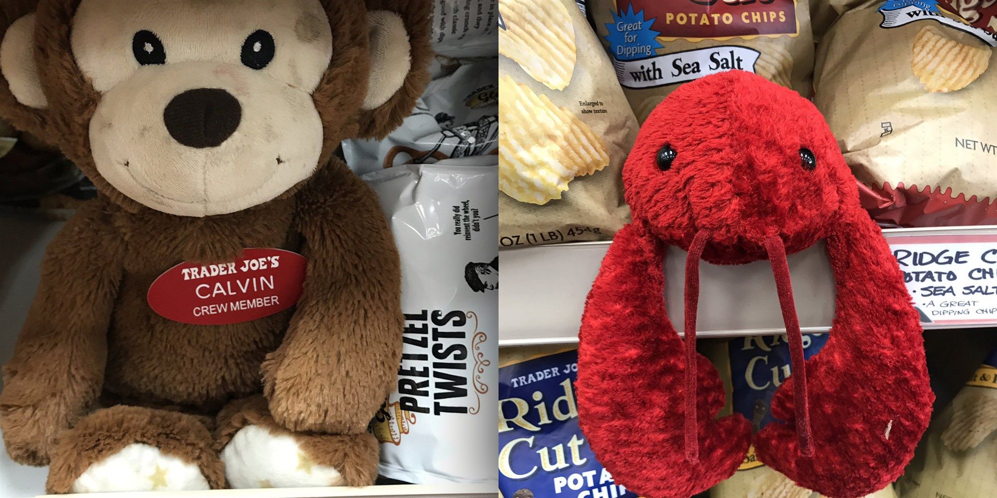 trader joes stuffed animals